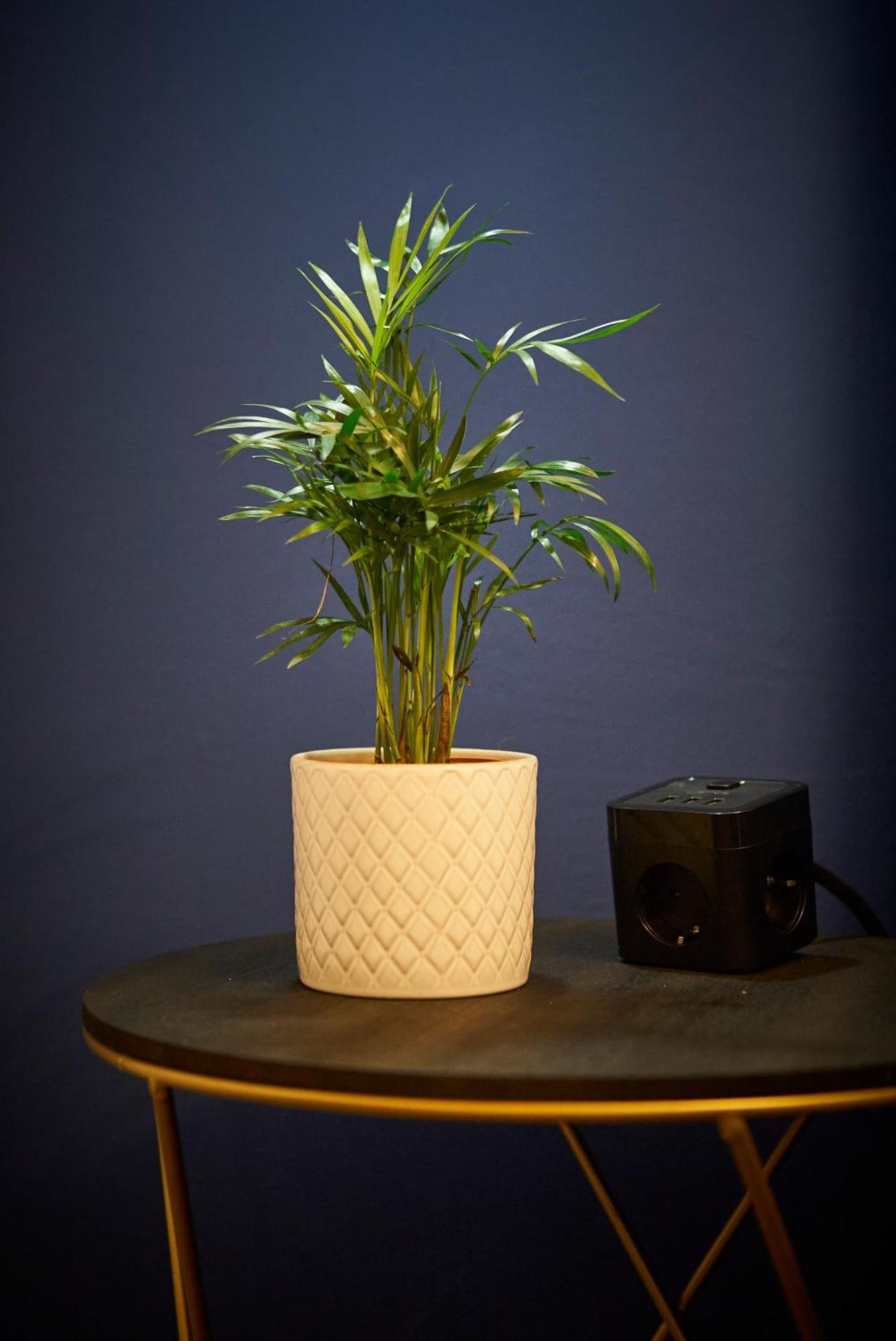 Apartment Nove Boutique